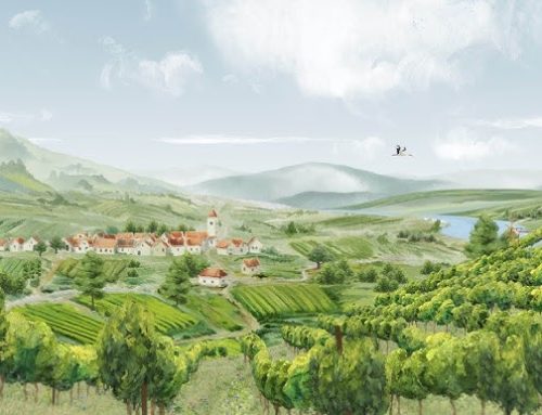 Austria retains its lead in organic viticulture